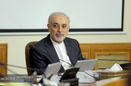 صالحی دوباره رئیس سازمان انرژی اتمی ایران شد
