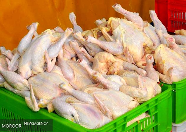 دولت زیر پرو بال مرغ را گرفت/ گوشت طیور ارزان نمیشود