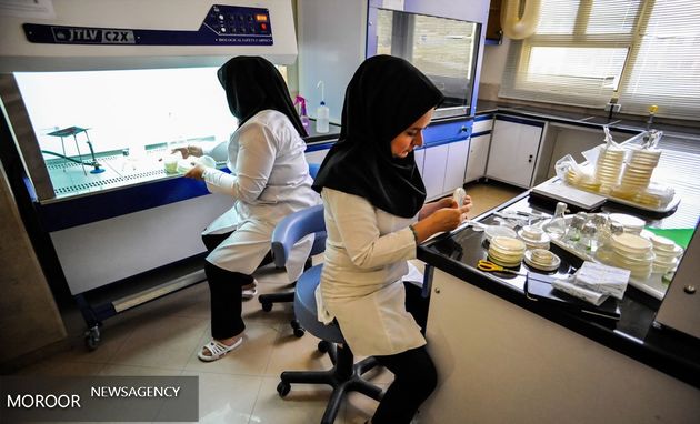 شرکت های دانش بنیان ایرانیان غیرمقیم در پارک فناوری پردیس راه اندازی می شوند