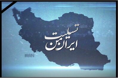پیام تسلیت جمعی از شاعران به زلزله‌زدگان غرب کشور 