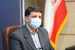 قیمت موز به یک سوم کاهش یافته و منطقی شده است