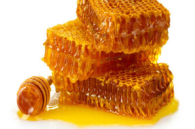 نجف آباد در تولید عسل رتبه اول استان را دارد