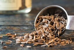 گیاهی با خاصیت ضد سرطانی و ضد باکتریائی