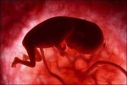 ممنوعیت ورود و ترخیص اقلام دارویی با قابلیت مصرف در سقط جنین