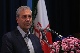 واکنش سخنگوی دولت به طرح انتقادات مختلف درباره دولت