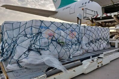 واردات واکسن کرونا به کشور به ۴۰ میلیون ۲۹۱ هزار و ۸۹۴ دز رسید