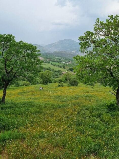 عکس/ طبیعت زیبای روستای قلعه‌گاه روانسر
