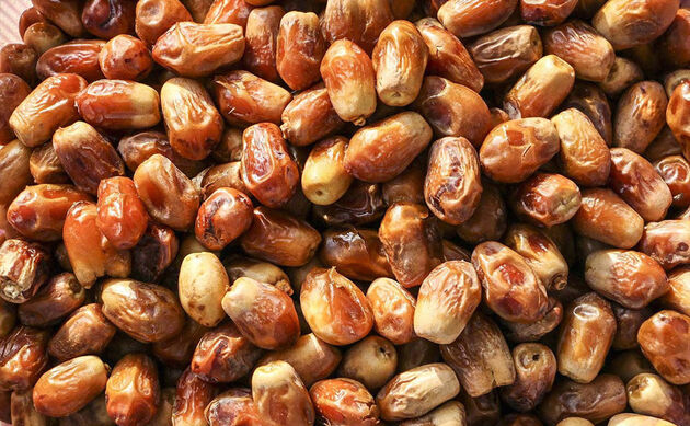 ۷۰ کشور جهان خریدار انواع و اقسام خرمای ایرانی
