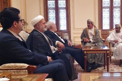 ظریف با وزیر دفتر سلطان قابوس در مسقط دیدار کرد