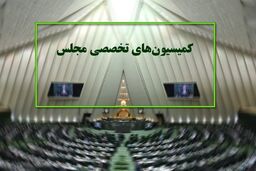 کمیسیون ‌های تخصصی مجلس از ۲۵ خرداد رسماً کار خود را آغاز می‌ کنند