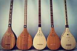  سه تار از تبریز به کانادا می‌رود