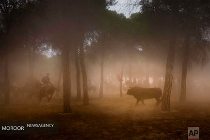 عکسهای برتر ماه دسامبر از نگاه خبرگزاری آسوشیتد پرس