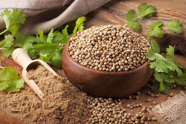 تاثیر تخم گشنیز در مقابله با دیابت