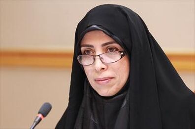 امین زاده: حقوق شهروندی مسئله سیاسی و انتخاباتی نیست