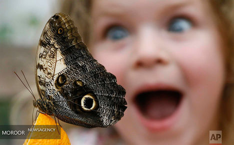 عکسهای برتر ماه دسامبر از نگاه خبرگزاری آسوشیتد پرس