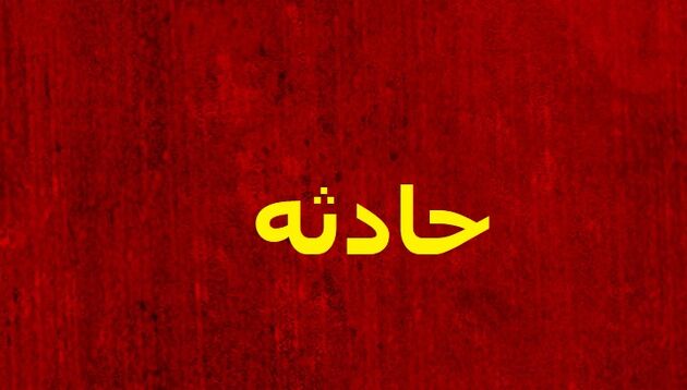 سگ ولگرد جان کودک هشت ساله را گرفت