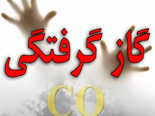 کاهش ۱۹ درصدی آمار  مرگ‌ومیر بر اثر گاز گرفتگی در پایتخت