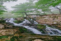 عکس/ آبشار پشمکی رامیان در مه

