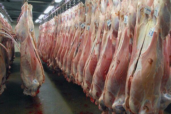 افزایش حجم گوشت های وارداتی در بازار طی روزهای آینده