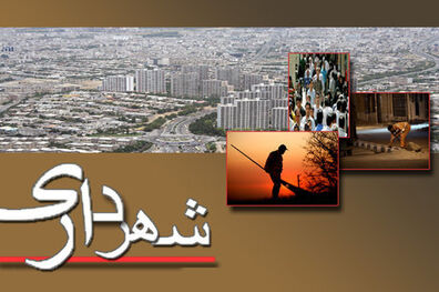 7 گزینه نهایی شهرداری تهران مشخص شدند