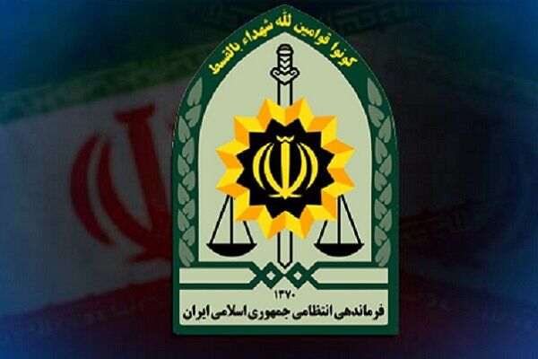 دستگیری ۱۱۹ اخلالگر بازار ارز در پایتخت