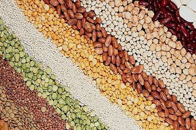 بانک کشاورزی استان آذربایجان شرقی برای طرح های زراعی2654 میلیارد ریال تسهیلات پرداخت کرد
