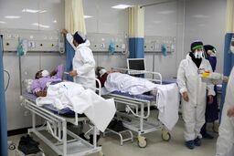 آخرین آمار کرونا در کشور 30 فروردین 1402/ شناسایی 403 بیمار جدید مبتلا به کووید ۱۹