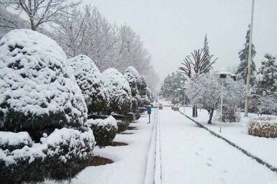 بارش زیبای برف در آستارا