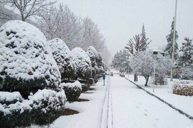هشدار سطح نارنجی هواشناسی