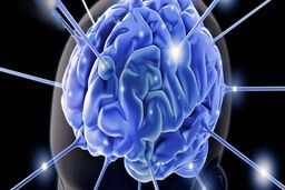 نتایج جدید محققان درباره مغز زنان