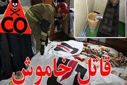ردپای قاتل مرموز در خانه‌ها