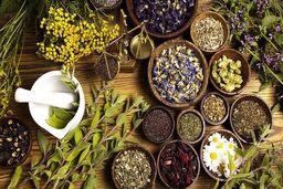 ۲۰ طرح برای هوشمندسازی ابزار تولید گیاهان دارویی اجرایی شد
