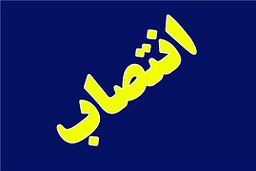 سرپرست معاونت اتکایی بیمه مرکزی منصوب شد
