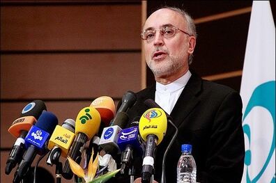 علی اکبر صالحی: در وهله اول، مشغول تلاش برای حفظ تمامیت برجام هستیم