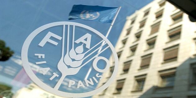 کاهش قیمت جهانی مواد غذایی در پی پاندمی کرونا
