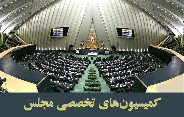 اعلام اعضای هیات رئیسه کمیسیون‌های بهداشت و کشاورزی مجلس
