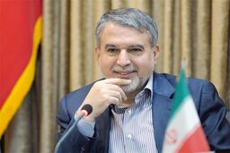 توجه به فرهنگ بومی ضروری است 
