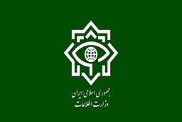 بیانیه وزارت اطلاعات درباره جزئیات حوادث اخیر کشور