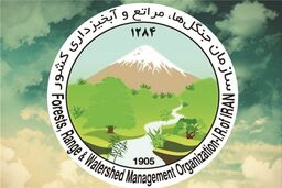 پیام تسلیت سازمان جنگل‌ها در پی درگذشت خبرنگاران محیط زیست