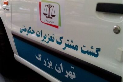 70 درصد از شکایات مردمی بررسی شده است