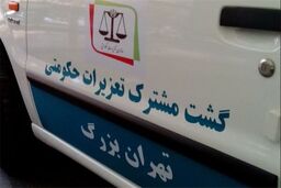 70 درصد از شکایات مردمی بررسی شده است
