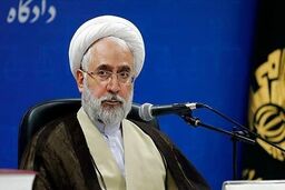  پیام رسان های داخلی از جنایات جلوگیری می کنند
