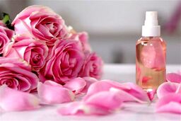 رابطه مستقیم گلاب و گرمازدگی