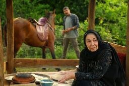 تصویربرداری سریال در کنار پروانه‌ها در لاهیجان
