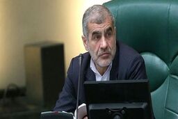 حمایت مجلس از خودکفایی در حوزه تولیدات لوازم خانگی