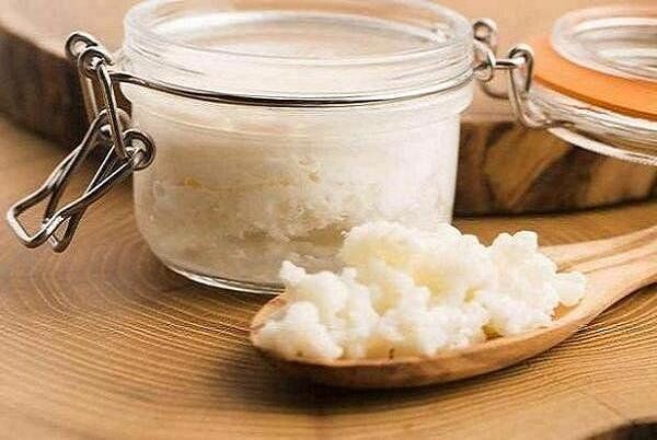 نقش کفیر در بهبود سیستم گوارش بدن