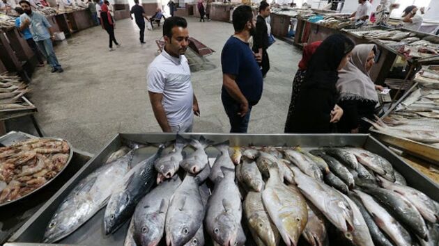 اجازه صید به هیچ کشوری در آب‌های ایران را نمی‌دهیم