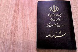 بانک اطلاعات سببی و نسبی اطفال به زودی تکمیل می شود