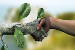  احیای محیط زیست با کلید تدبیر و امید