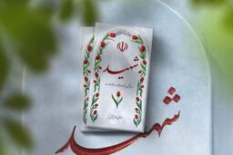 شهید اهل مرند که می‌تواند الگوی دولتمردان باشد
